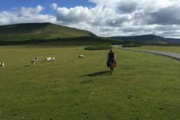 Ruth Broadbent cycling Gospel Pass