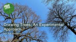 A photograph looking up into the tree canopy with background of blue sky and the text, Drawing Trees: An Experimental Approach, with Ruth Broadbent