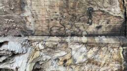 close-up showing log markings