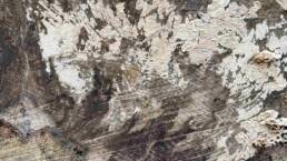 close-up showing log markings