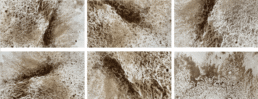six detail photos of fine river silt on paper, photos taken in and by river