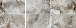 six detail photos of fine river silt on paper, photos taken in and by river