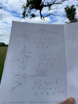 sketchbook held up with tree behind, showing pencil drawings of branches